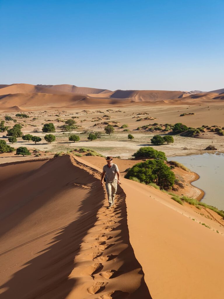 Sossusvlei Solitaire Namib-Wüste