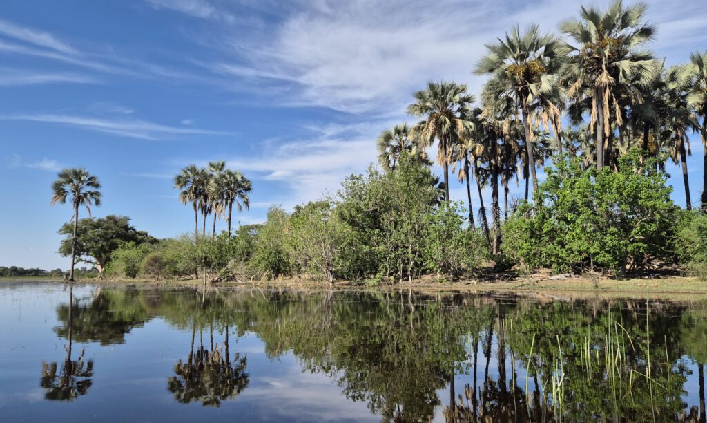 Okavango Delta Moremi Game Reserve