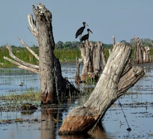 Fotos Botswana Simbabwe