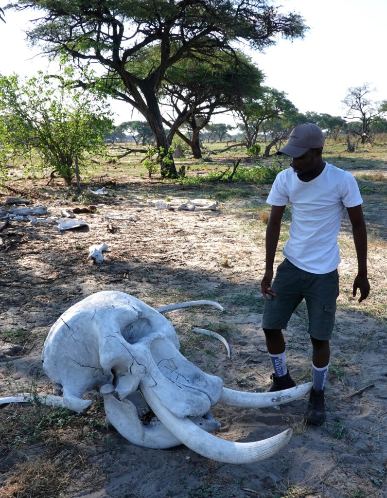 Okavango Delta Moremi Game Reserve