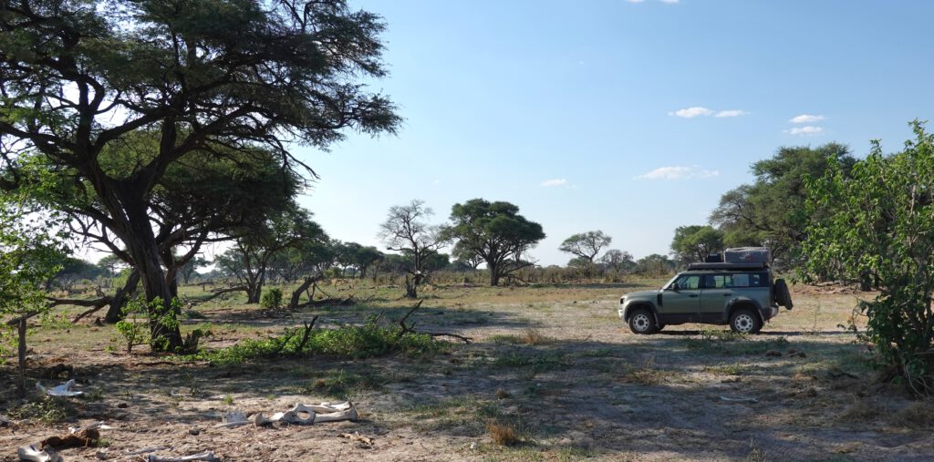 Okavango Delta Moremi Game Reserve