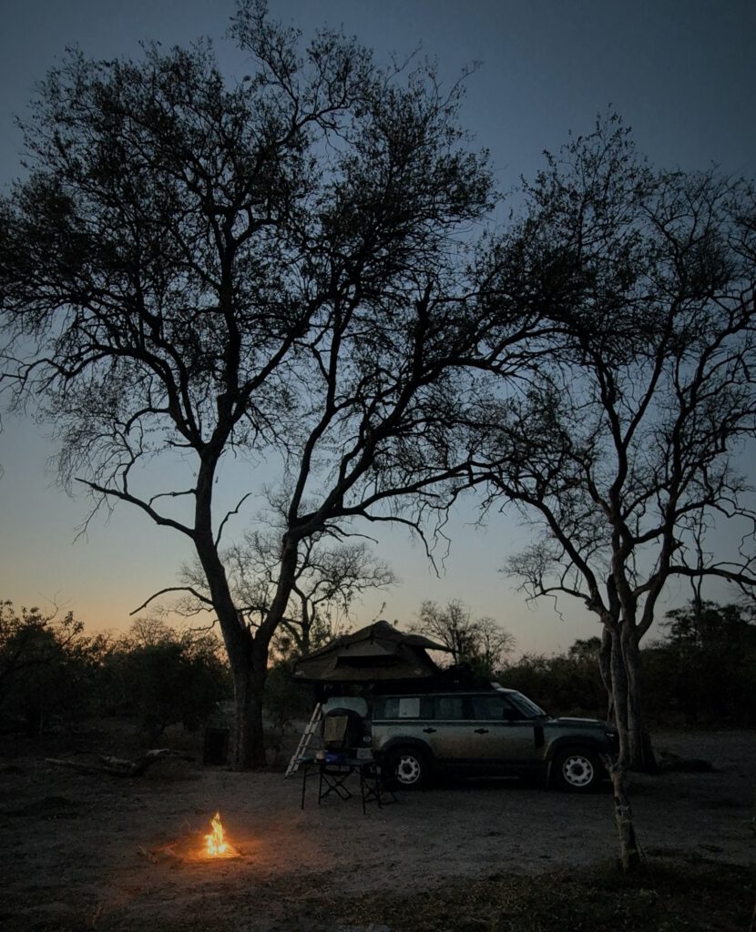 Okavango Delta Moremi Game Reserve