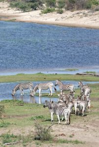 Fotos Botswana Simbabwe